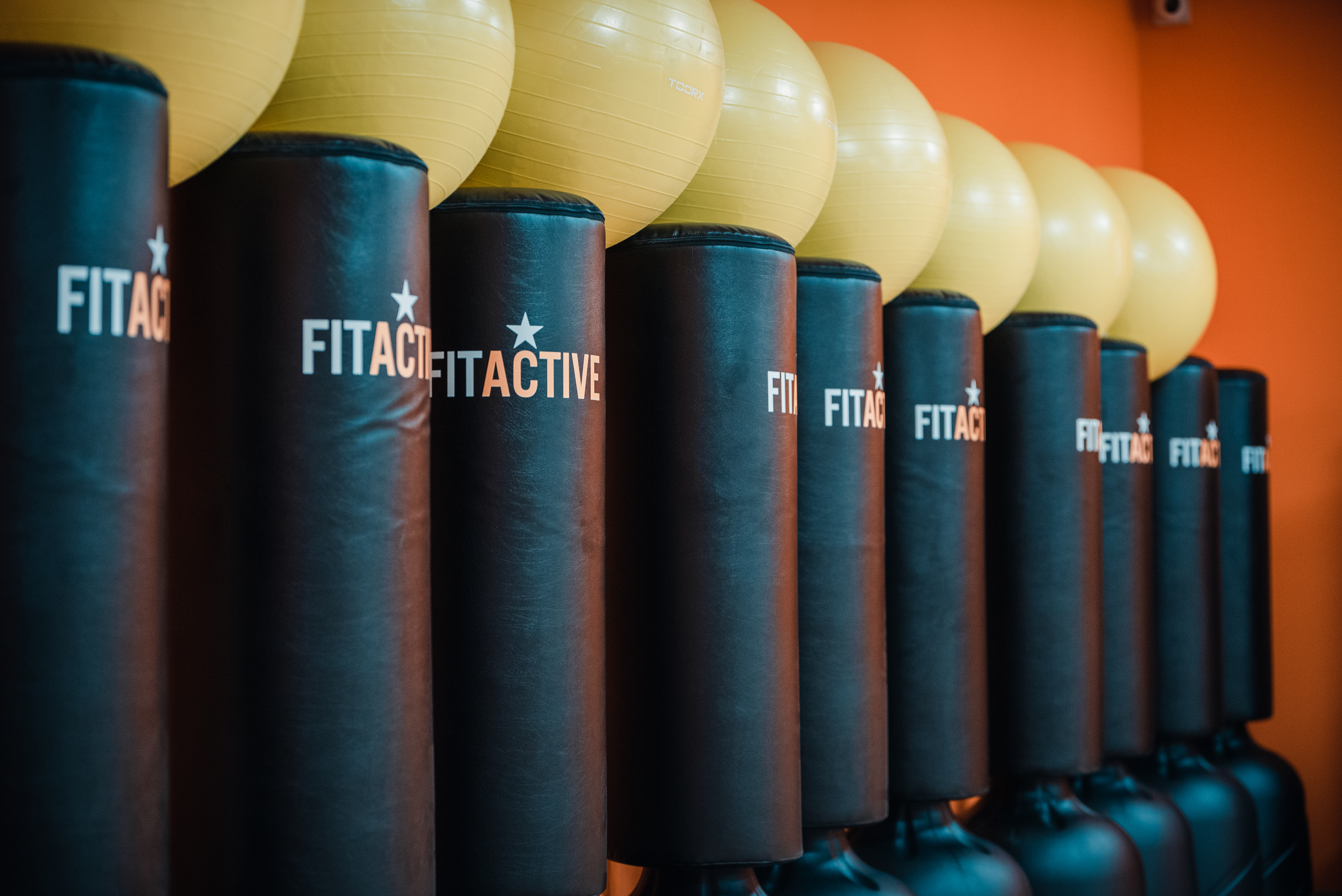 FitActive Reggio Emilia Via Fattori